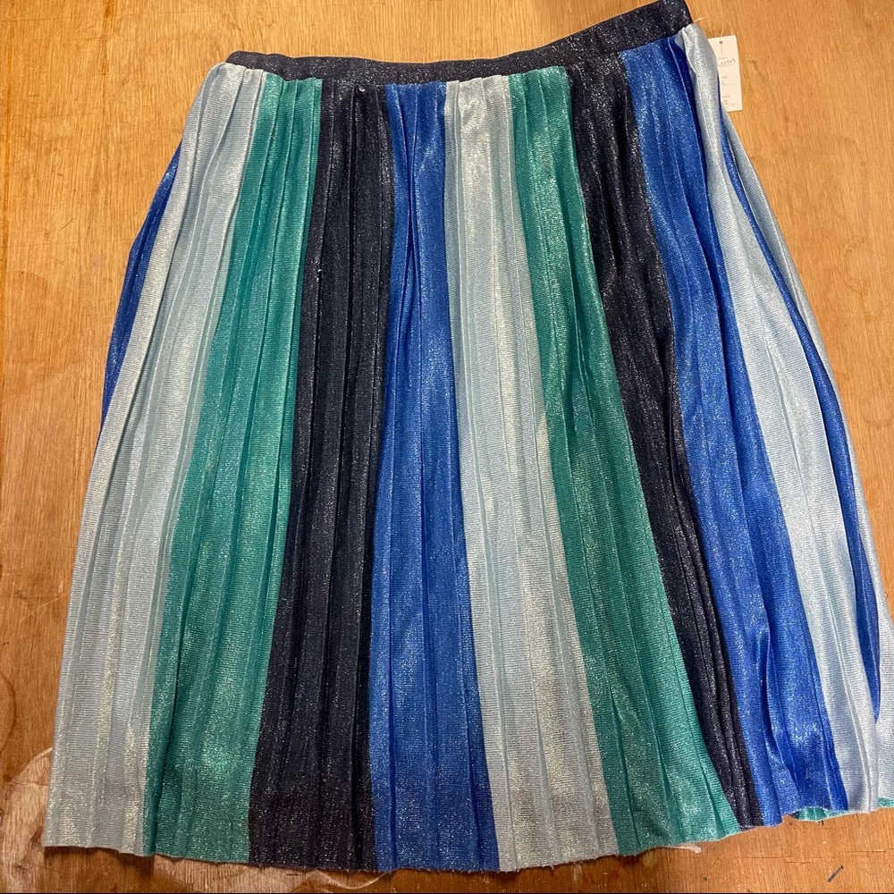Anthropologie Shimmering Pleated Skirt.